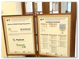 program and sponsors